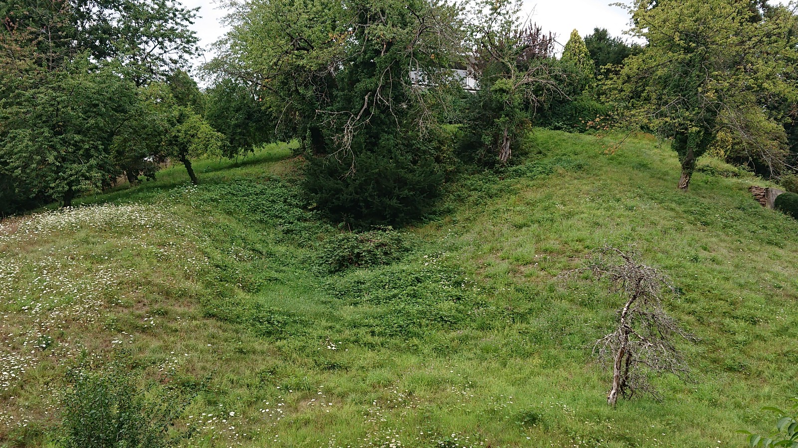 Der Reifelsberg Image