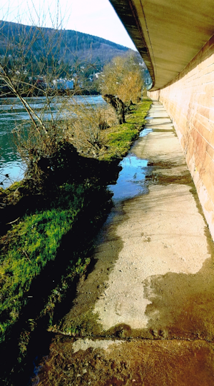 Schlamm auf dem Leinpfad Image