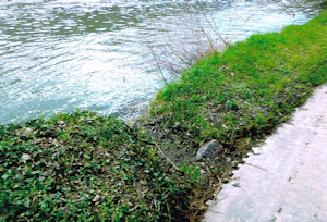 Rücklaufgraben Image