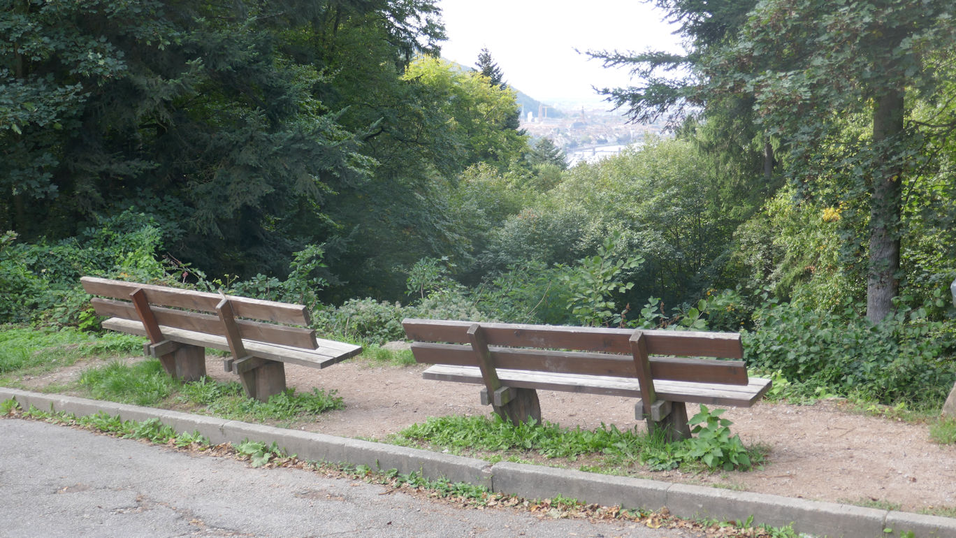 Altstadtblick Image