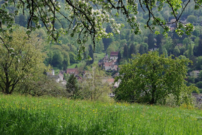 Schlierbach Image