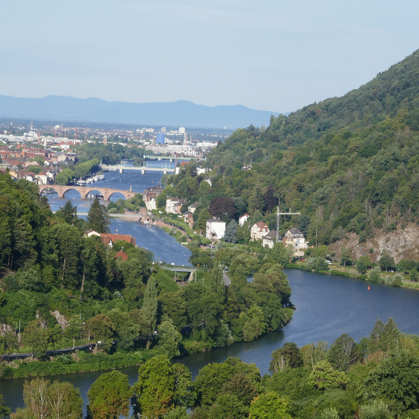 Vom Image
