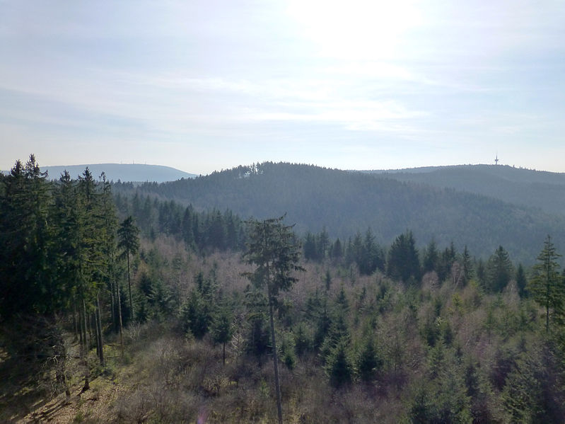 Kopf 1 Image