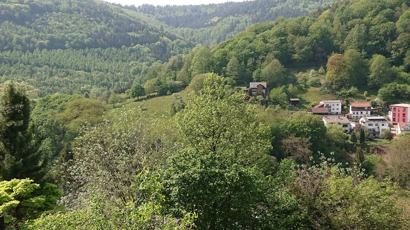 Kopf 3 Image