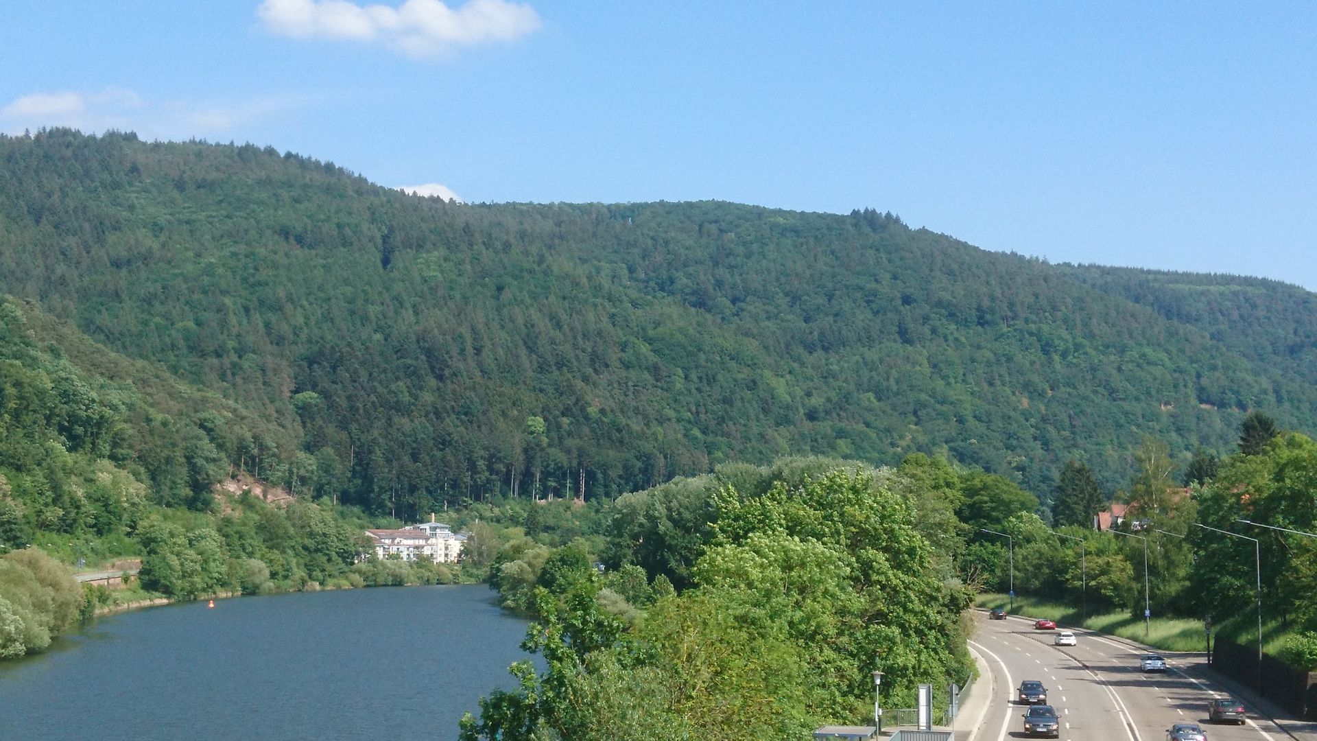 Kopf 2 Image