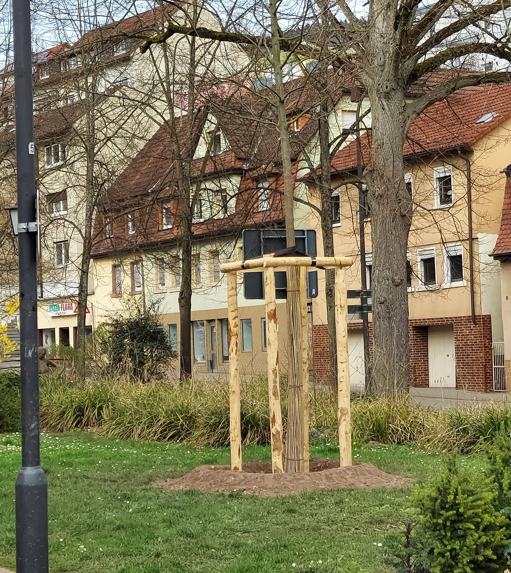 Das künftige lebende Denkmal im Park Image