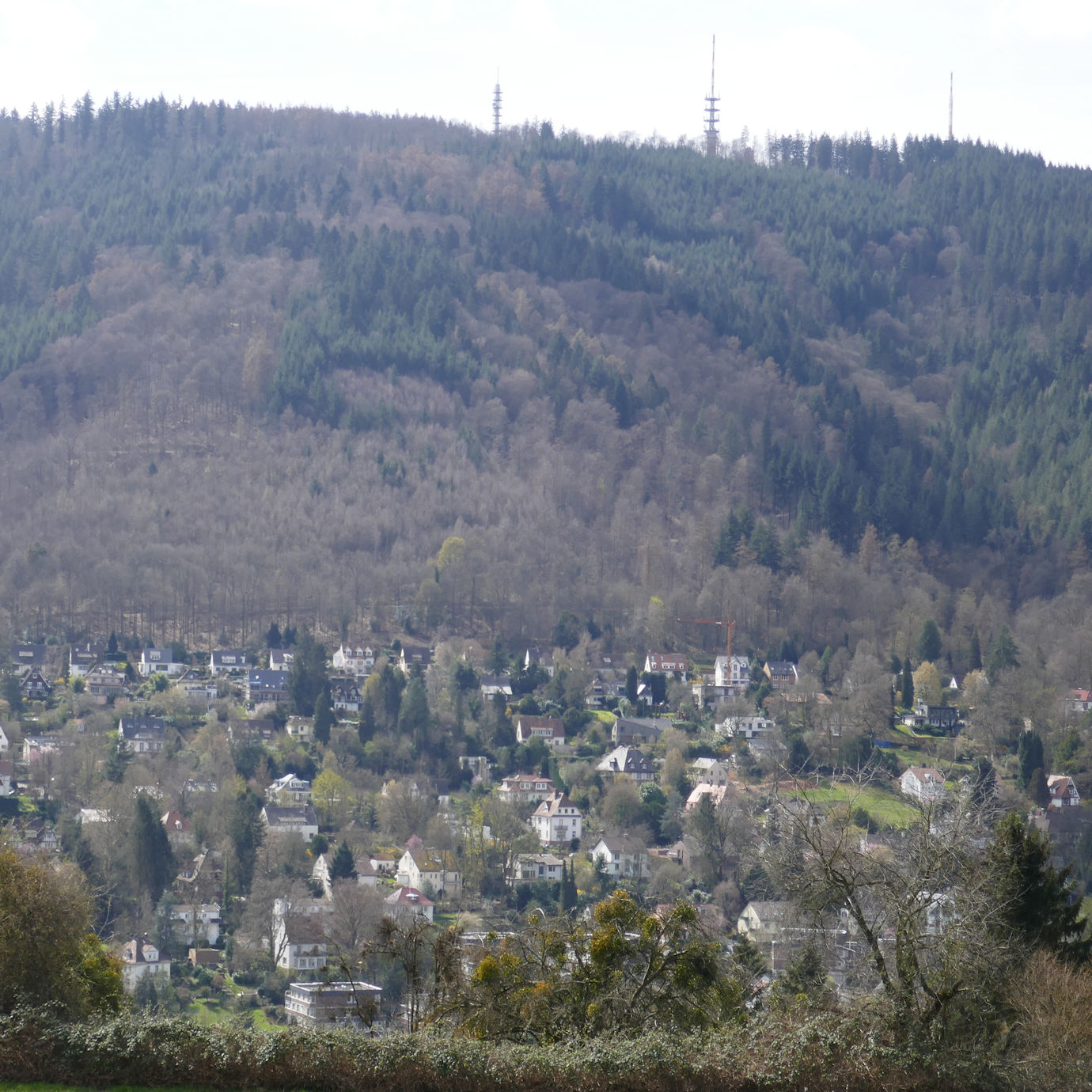 Nach Süden - Schlierbach und Königstuhl Image