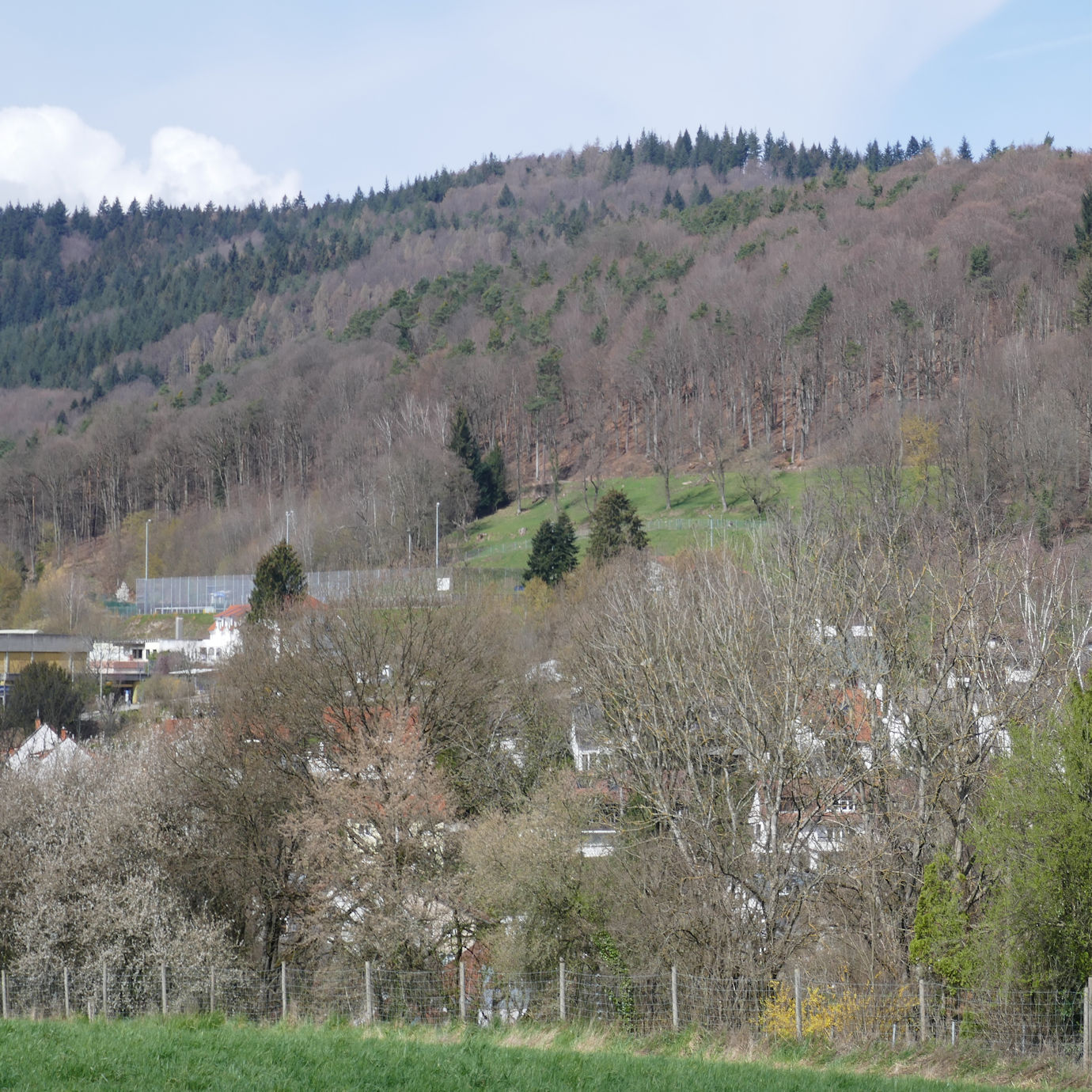 Nach Nordwesten - Köpfel - Alle Bilder K. Fanz Image