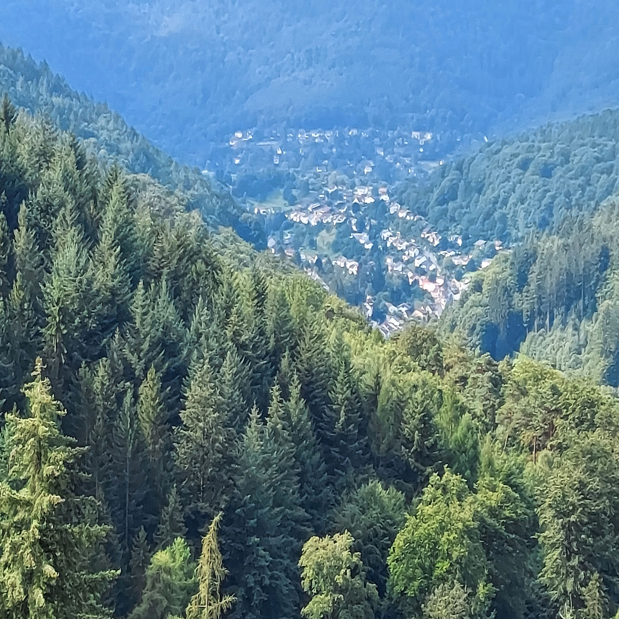Bild 1 Image
