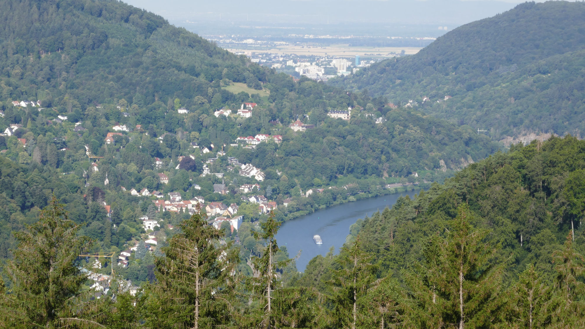 Bild 3 Image