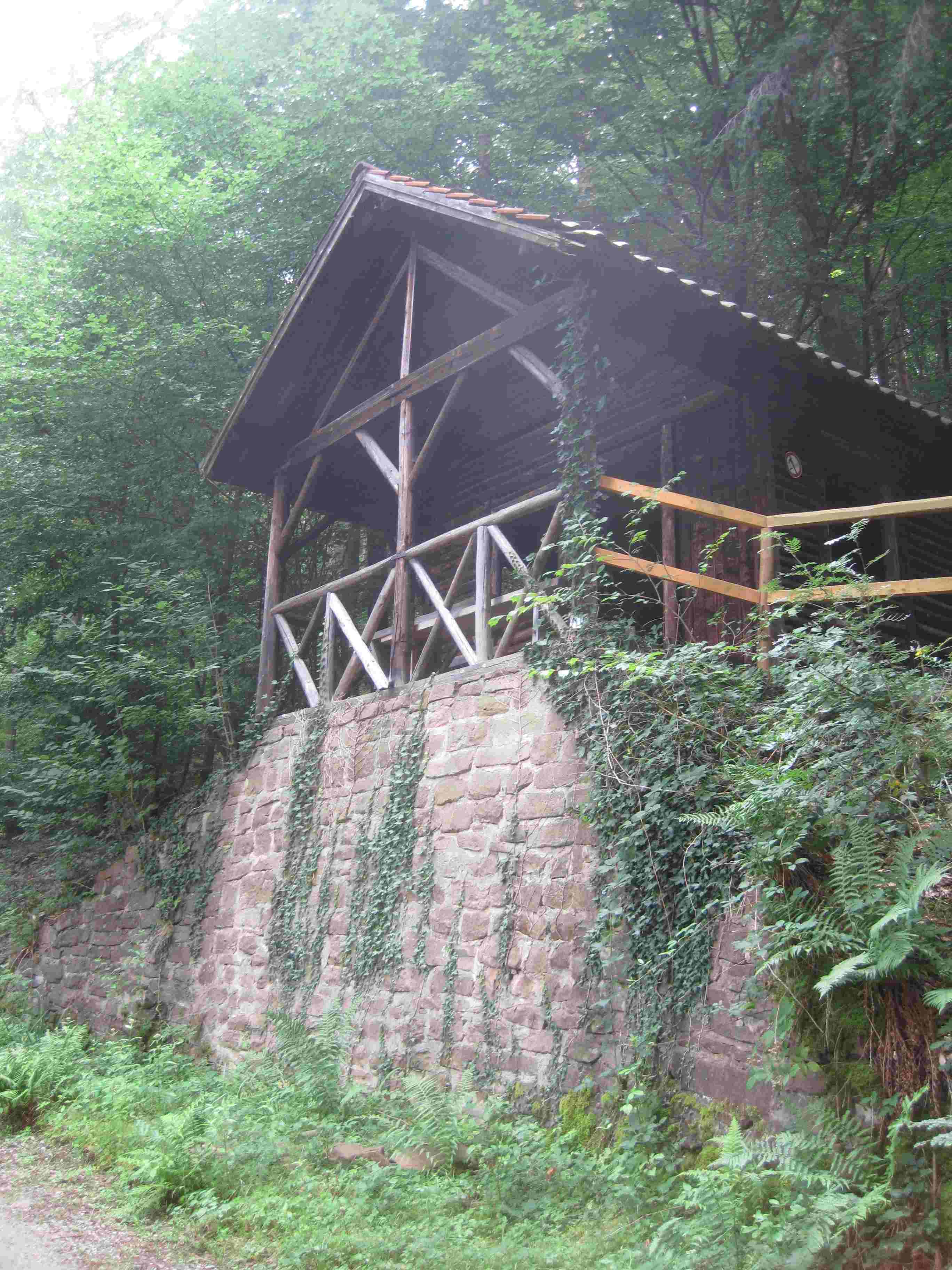 Bild 5 Image