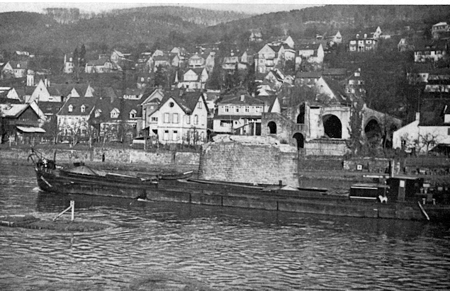 Bild - Martus Image