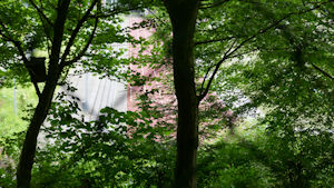 Bild 4 Image