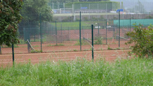 Bild 3 Image