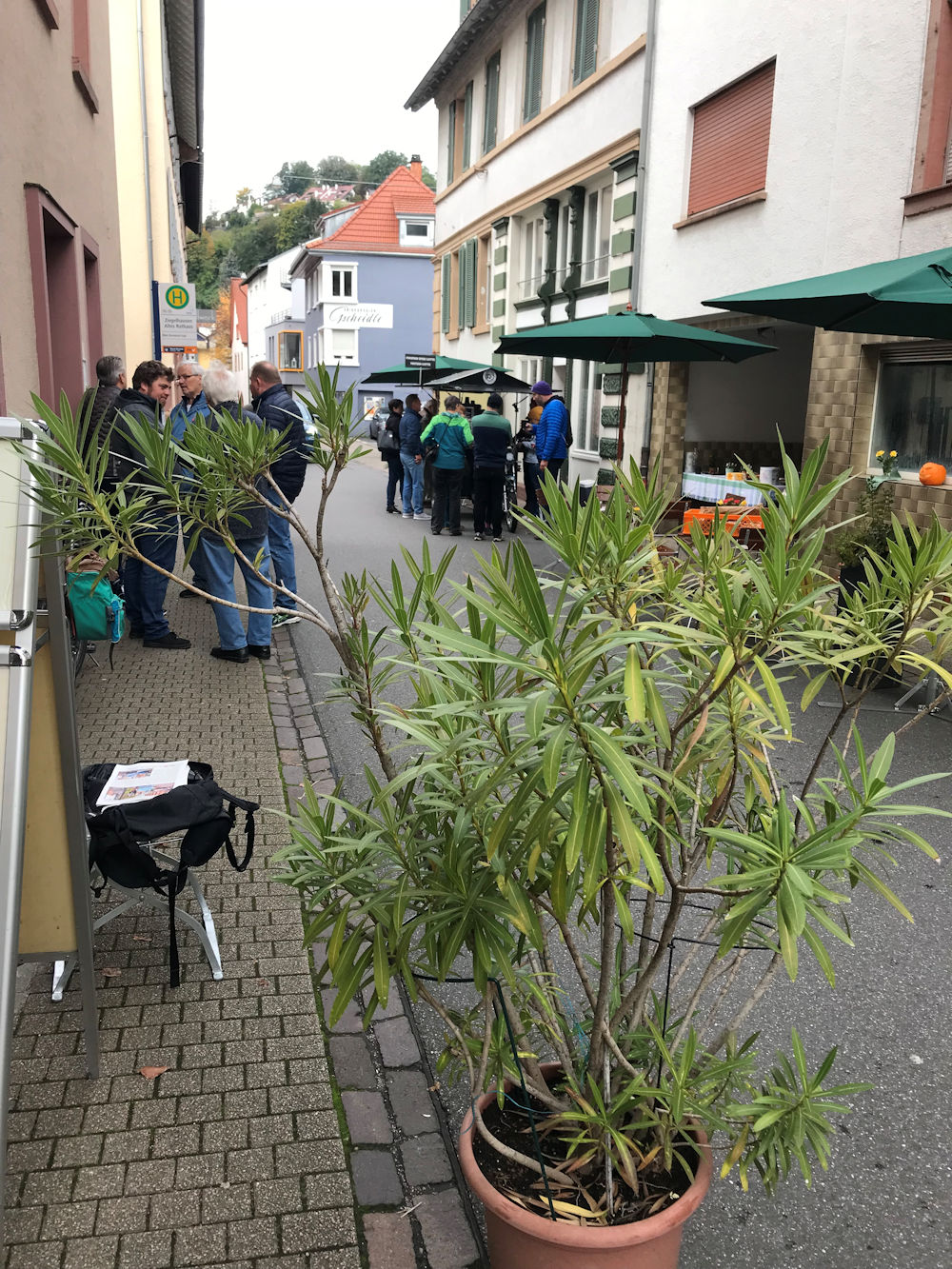 Alle Bilder K. Fanz Image
