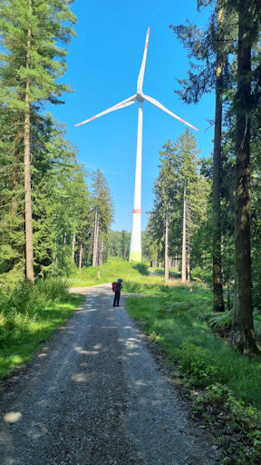 4 mal Lammerskopf Image