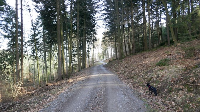 Ameisenbuckelweg Image