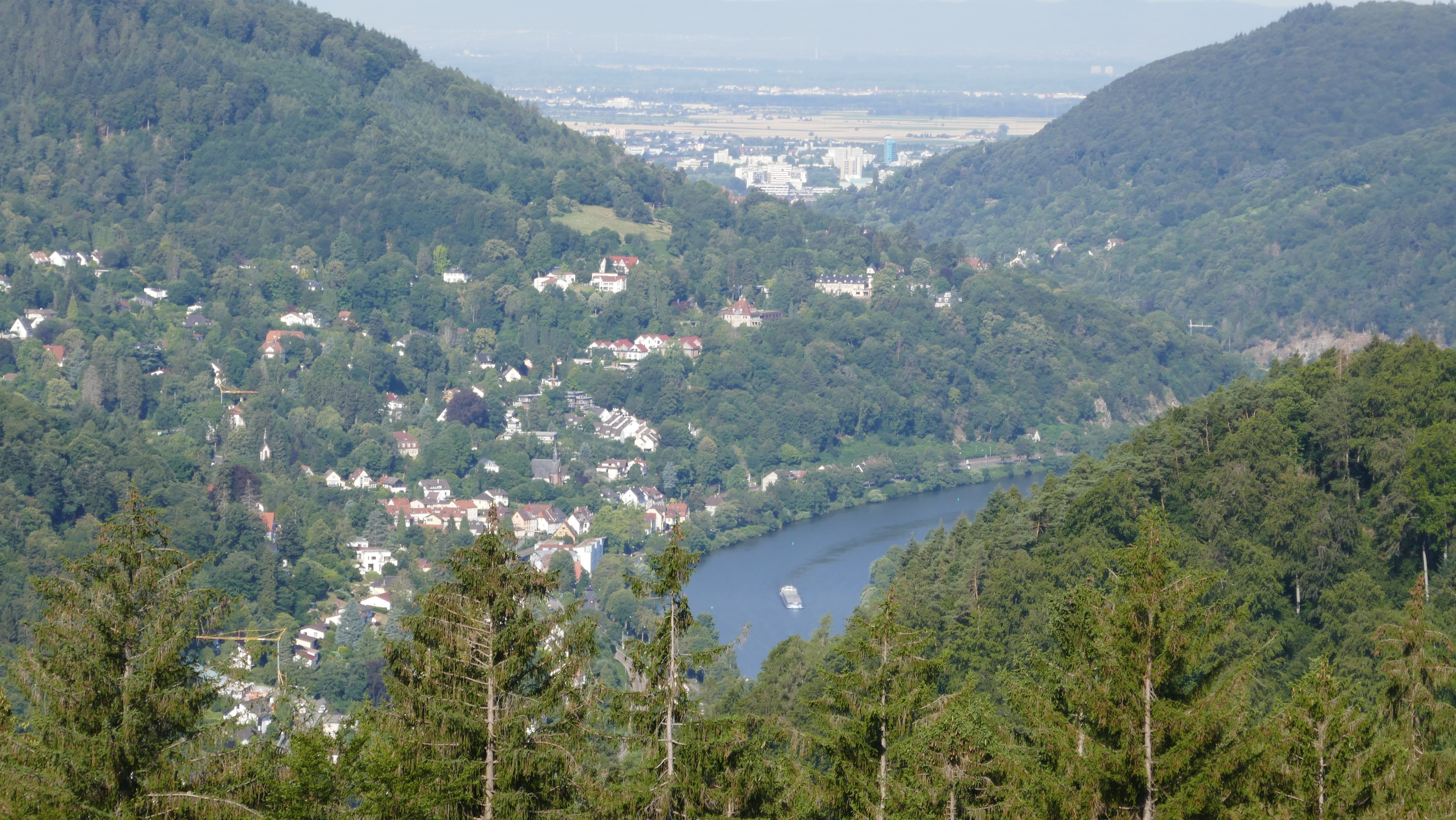 Blick ins Neckartal vom Kammerstein Image