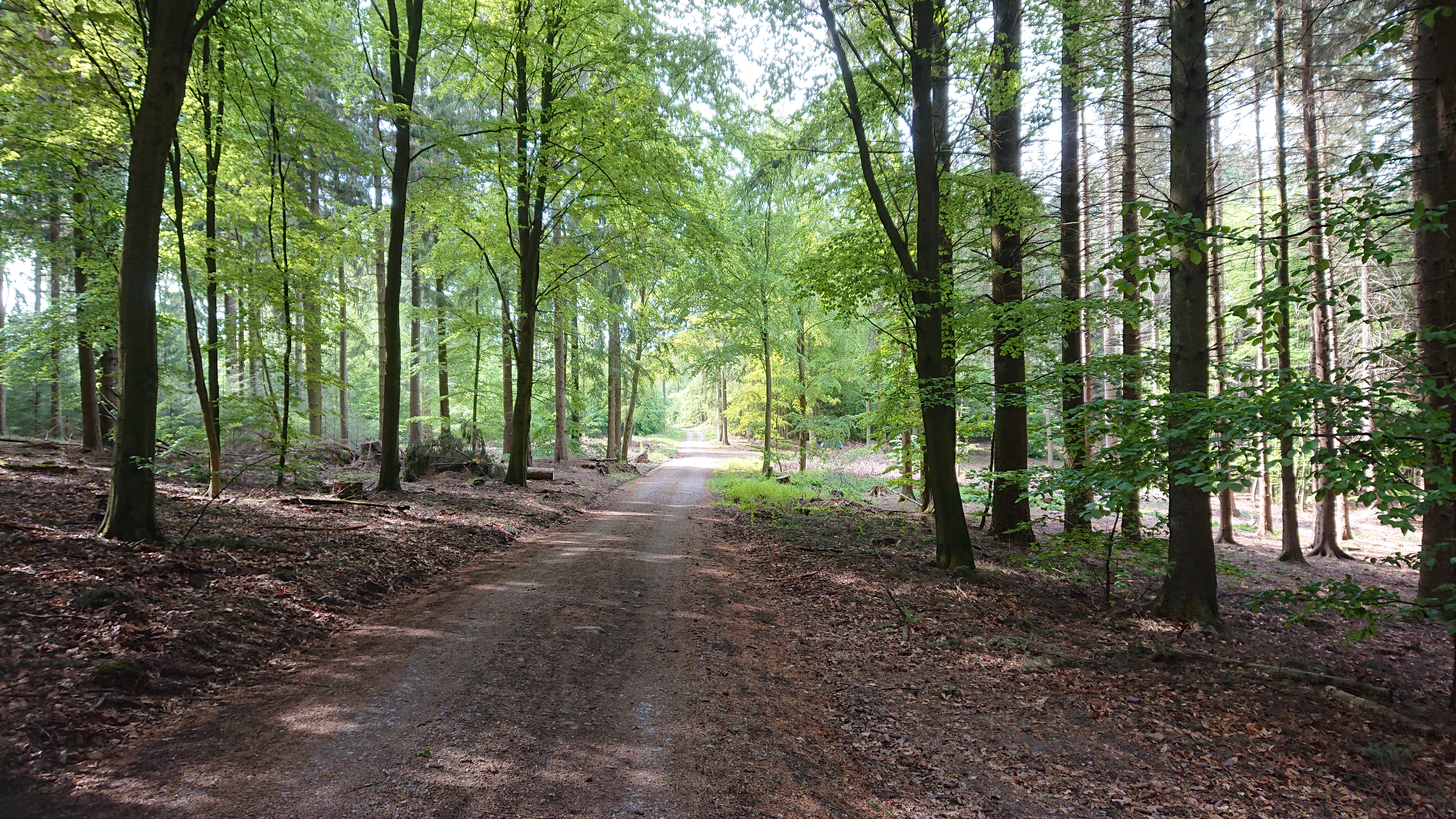 Suhlrückenweg Image