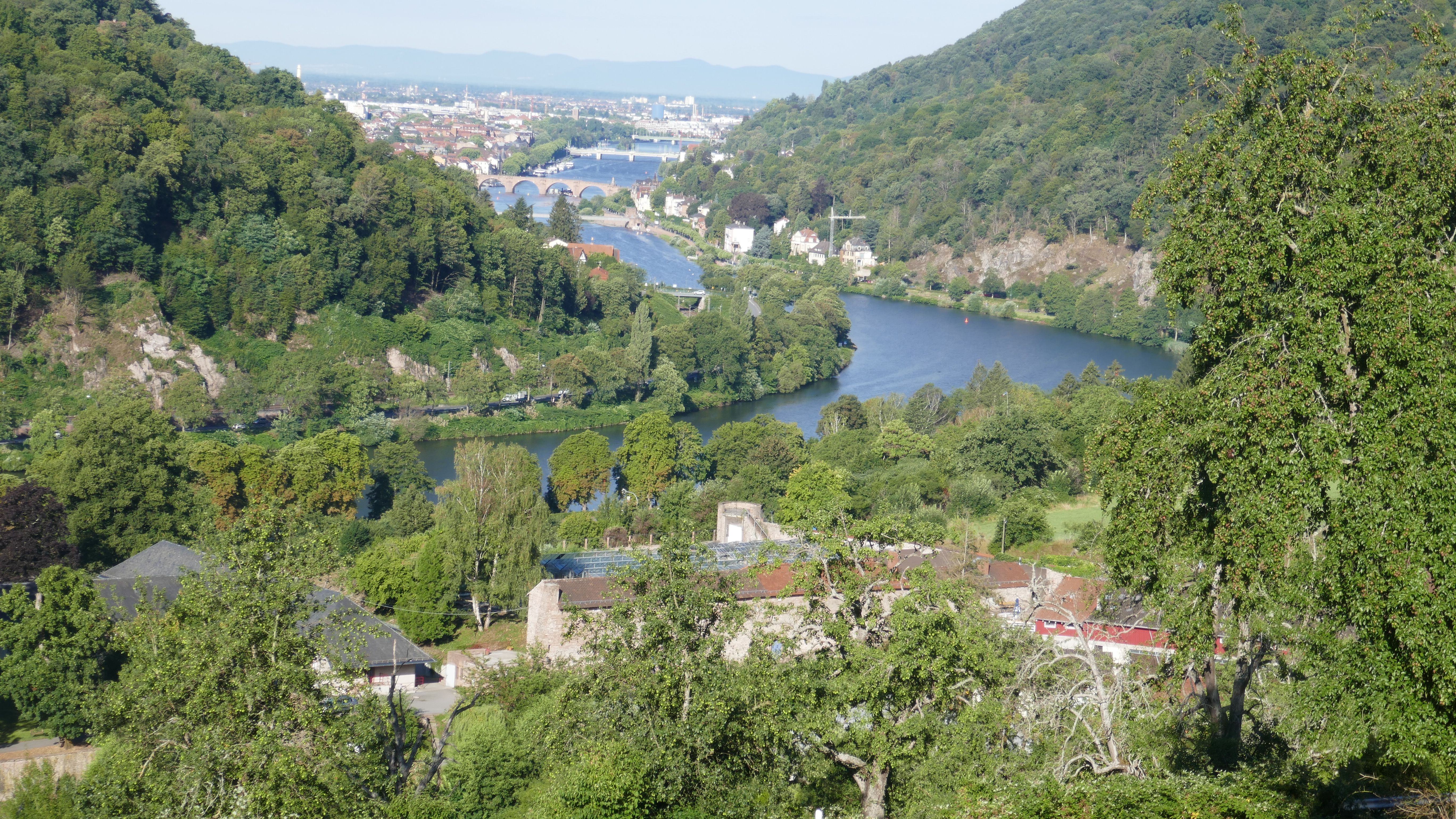 Vom Büchsenacker nach Heidelberg Image