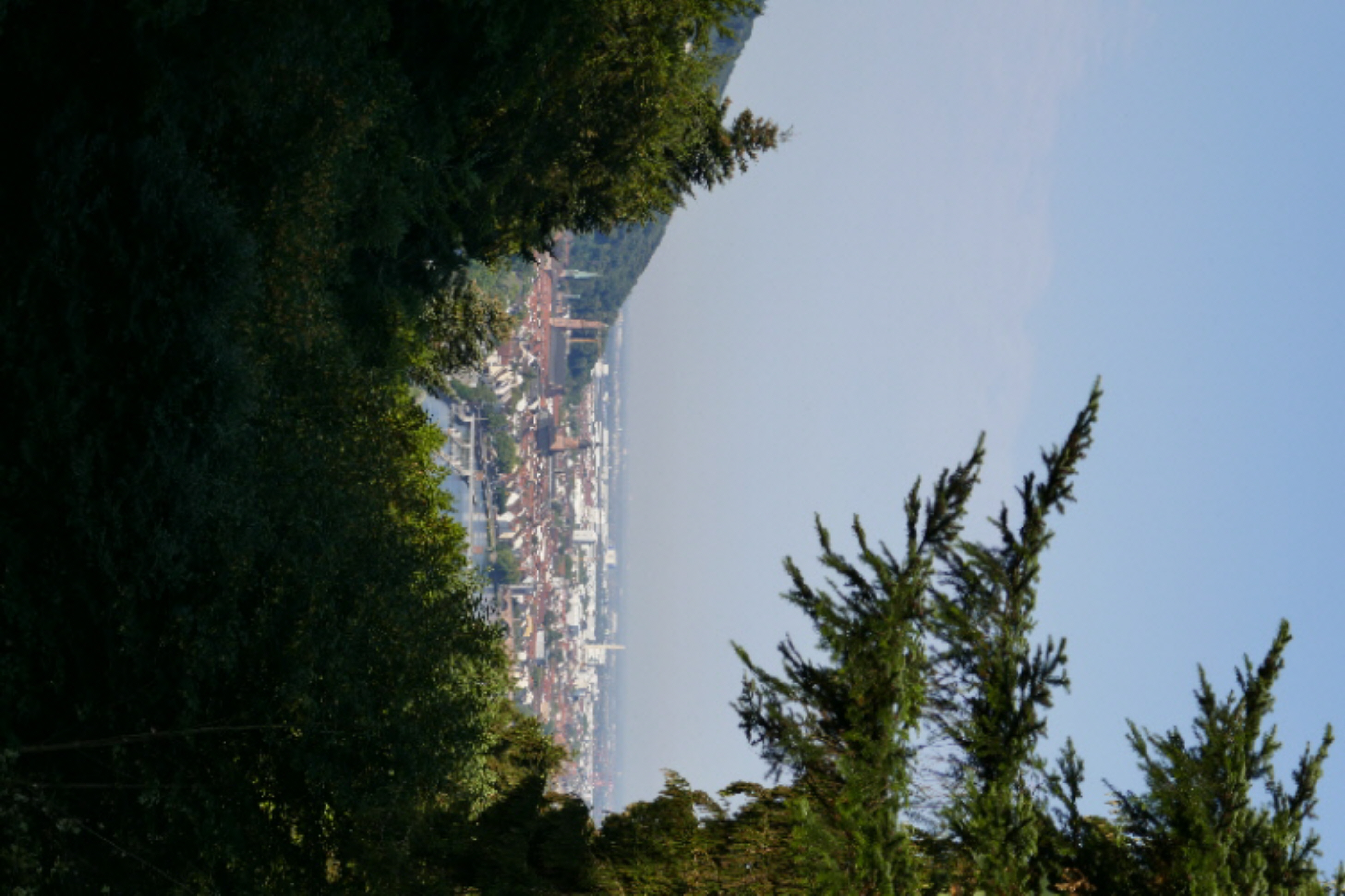 Altstadtblick Image