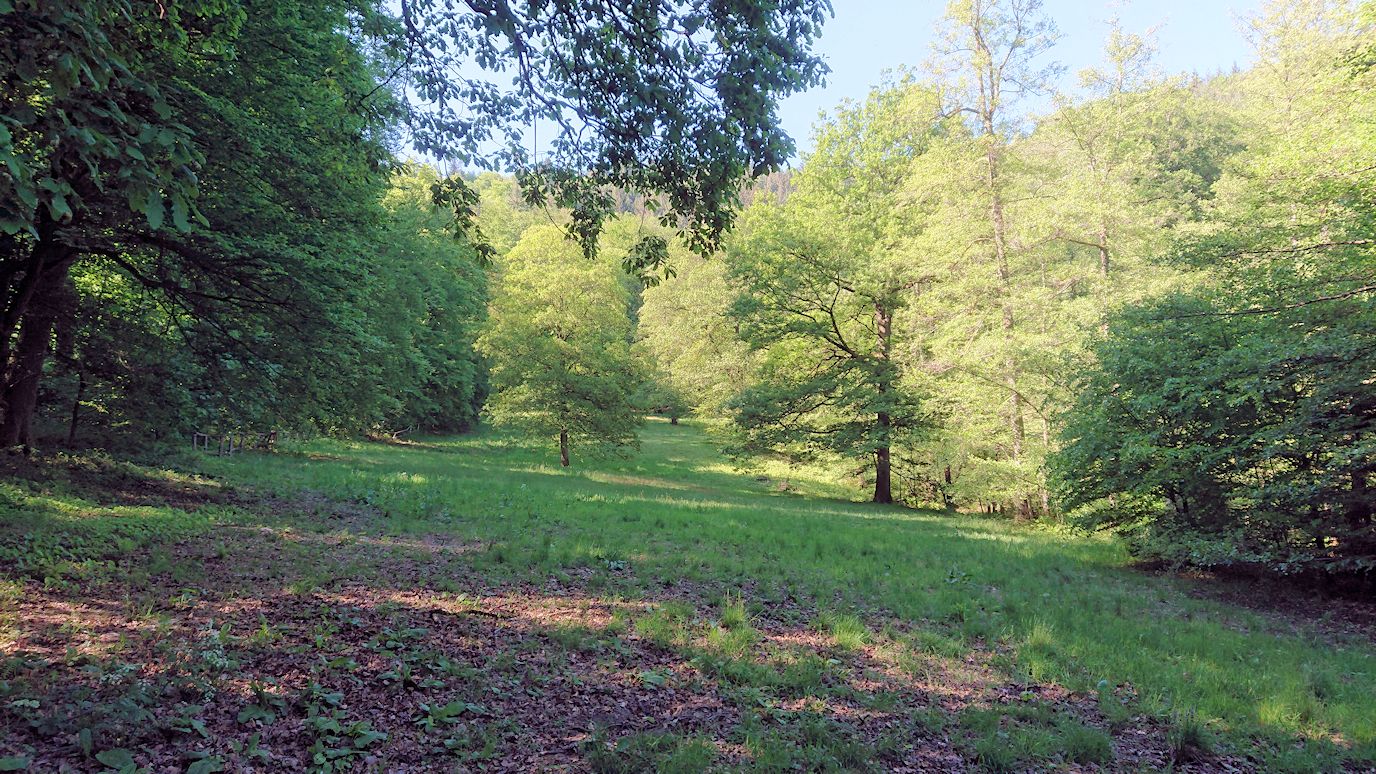 Mausbachwiese Image