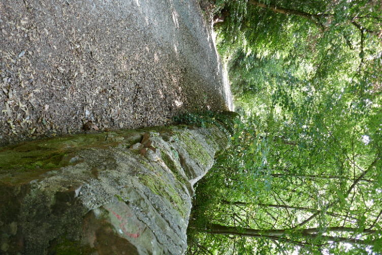 Speismauer Image